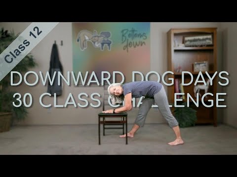 Chair Yoga -