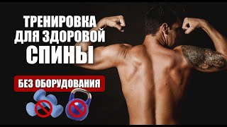 Тренировка с акцентом на мышцы спины