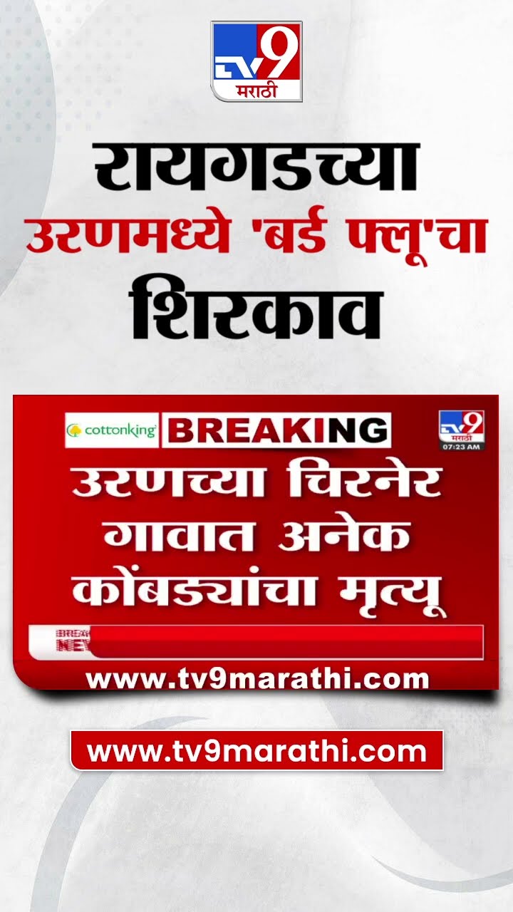 Raigad च्या उरणमध्ये बर्ड फ्लूचा शिरकाव, नागरिकांमध्ये भीती | tv9 Marathi