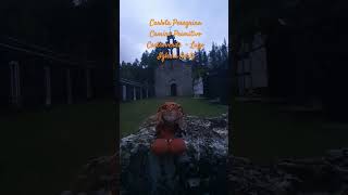 Carlota Peregrina Caminó Primitivo, Iglesia de Souto, Castroverde - Lugo. #medieval #nature #travel
