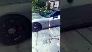 Corvette life