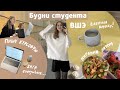 Будни студента летом | курсовая и сложности с учебой, убегаю от ремонта и леплю из глины