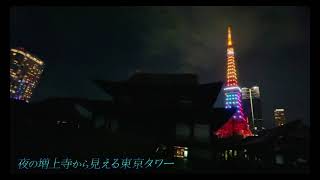 夜の増上寺から見える東京タワー