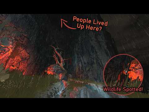 I Can't Believe What I Found on this Mountain