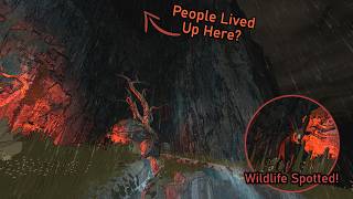 I Can't Believe What I Found on this Mountain