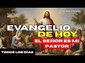 ¿Quién cuida de ti? Jesús, el Buen Pastor | Evangelio Diario y Reflexión Católica de Juan 10, 11-18