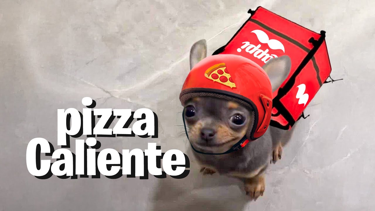 SOY un REPARTIDOR de PIZZA 🍕