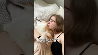 МЕНЯ БРОСИЛ ПАРЕНЬ ИЗ-ЗА СОБАКИ! Пенка для лап с массажной щеточкой на вб: 248237382