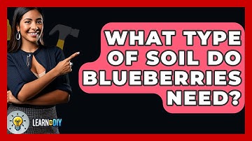 What Type Of Soil Do Blueberries Need? - LearnToDIY360.com