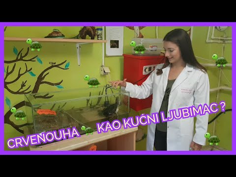 Video: Kako Postaviti Akvarij Crveno Ušnih Kornjača