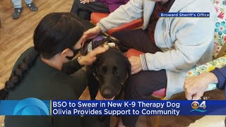 BSO To Swear In New K-9 Therapy Dog