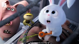 The Secret Life of Pets (4/9) | Snowball to the rescue | Cartoon For Kids