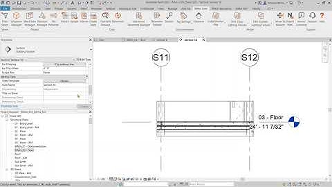BIMrx - How to - Section