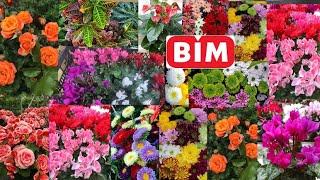 Bi̇me Öğretmenler Gününe Özel Kasimpati Gül Lamen Geldi̇