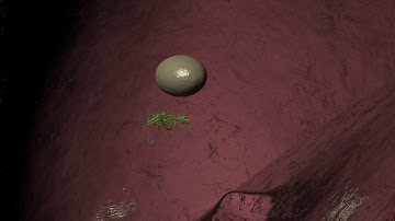 Statins for high Cholesterol levels