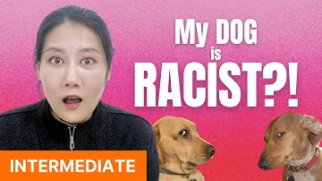 True stories of the judgemental dogs around me - Chinese Comprehensible Input - Intermediate