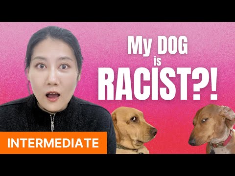 True Stories Of The Judgemental Dogs Around Me Chinese Comprehensible Input Intermediate