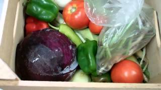 Week 11 of Edible Earth Farm's 2012 CSA