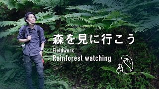 森を見に行こう【Nikon Zfc 動画撮影】