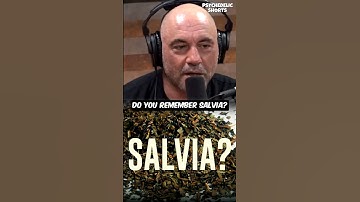 Joe Rogan Remembers Salvia 🚀👍
