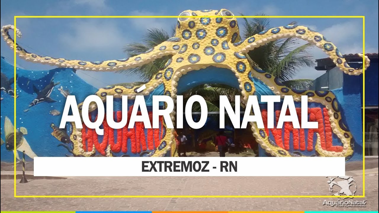 AQUÁRIO NATAL - RN | Visitamos o maior aquário (e zoo) do Nordeste - YouTube