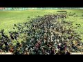 Veni Vidi Vici Mod - Battle dynamics