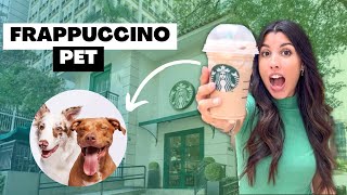 Reproduzimos o Frappuccino Mocha do Starbucks | como fazer frappuccino pra cachorro