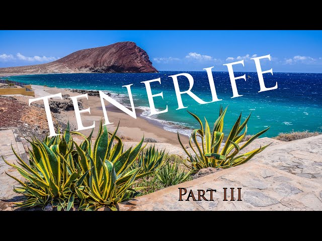 Onlayn porno: paypoqli yapon ayol