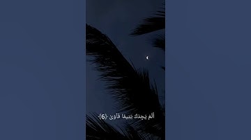 سورة الضحى  حالات واتس اب دينية