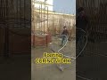 footing curing work #construction