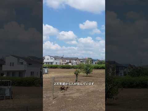 大都会の隣に10万本のひまわり｜清瀬でのんびり夏散歩 (01) 清瀬駅に到着 #shorts