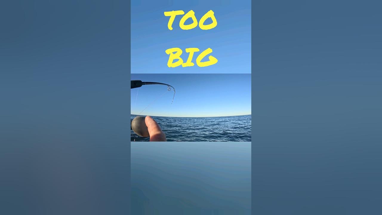 Sometimes They Are Just TOO BIG YouTube