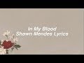 In My Blood || Shawn Mendes Lyrics