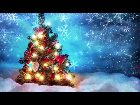 🌲 Ёлочка, ёлка лесной аромат 🌲 Новогодние песни для детей 🌲 Детские новогодние песни