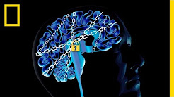 The Science of Addiction: Here's Your Brain on Drugs | National Geographic