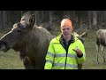 Skullaryd Älgpark väljer Lantmännen Maskin