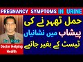 Pregnancy Symptoms in Urine |Early Symptoms of Pregnancy in Urdu |First Week Pregnancy Symptoms