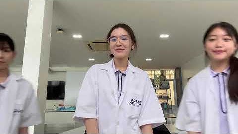 M3 Motion Graphs LAB 