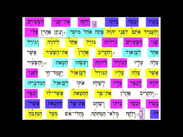 Acharei Sentence 9