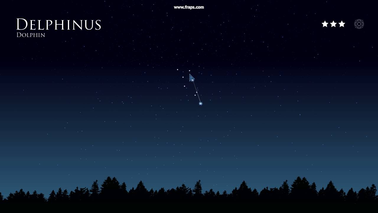 Constellation Dolphin - küçük ama ilginç Constellation Dolphin - küçük ama ilginç