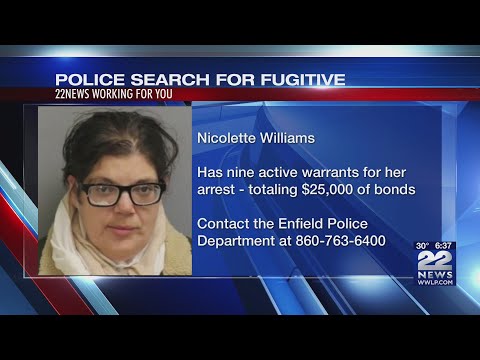 Enfield Arrest Log Patchpitpoint Detail