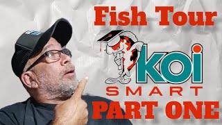 LOCAL FISH STORE TOUR OF KOI SMART PART 1