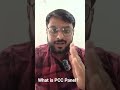 What is PCC Panel