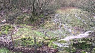 Overland flow or surface run off