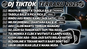 DJ TIKTOK TERBARU 2025 🎵 DJ NGAPAIN REPOT X TABOLA BALE 🎵 DJ TABOLA BALE X PICA PICA 2 FULL ALBUM