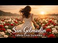 Sen Gelmedin