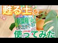 【観葉植物】まくだけで甦る土を使ってみた