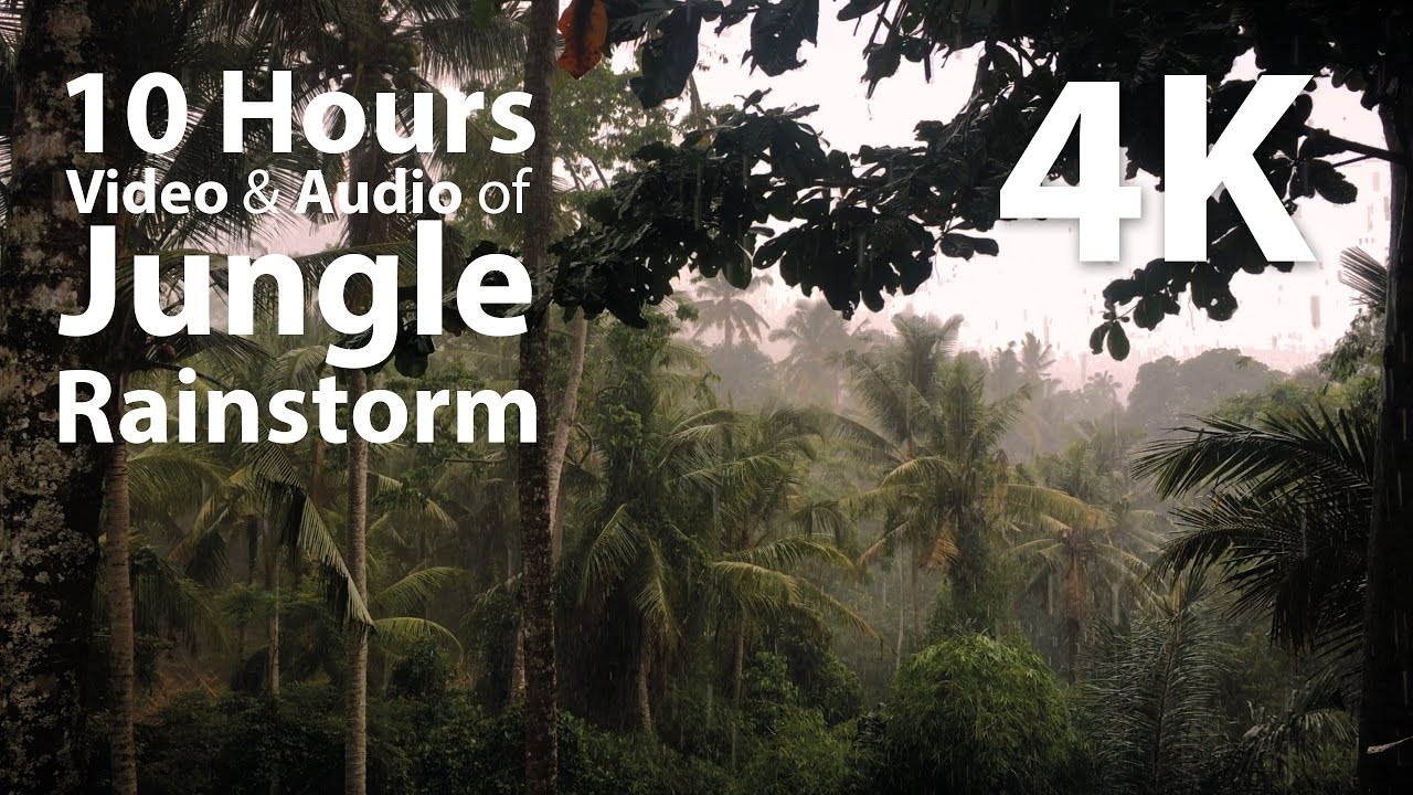 4K UHD 10 hours - Jungle Rain with audio for ambience - relaxation, meditation, nature