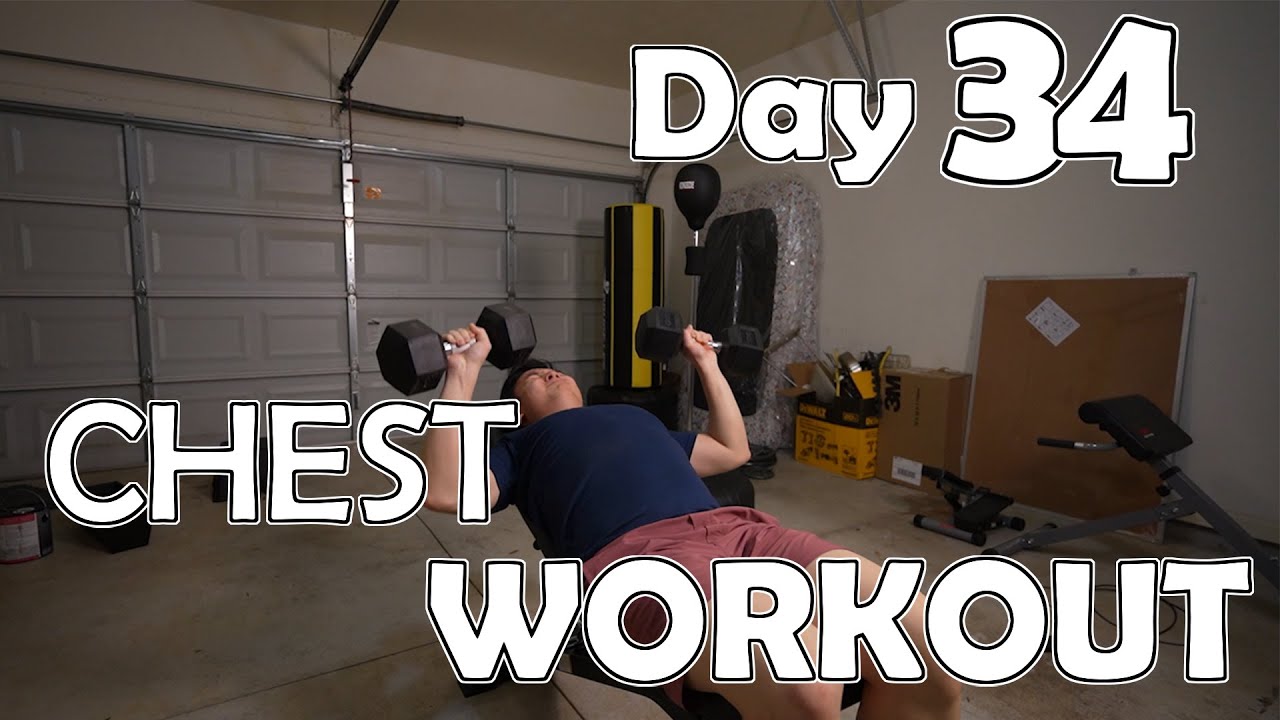 BEGINNER CHEST WORKOUT DAY 34 WORKOUT FROM HOME BODY