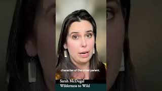 Child Custody Basics: Why the Court Evaluates the Safe Parent Too, Episode 3